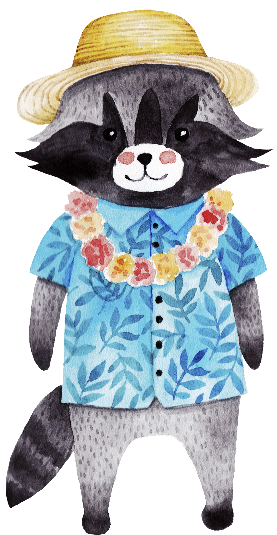 Stylish Raccoonin Summer Attire PNG image