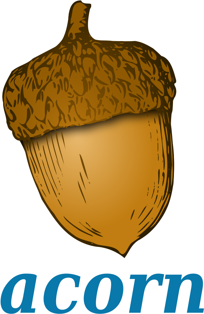 Stylized Acorn Illustration PNG image