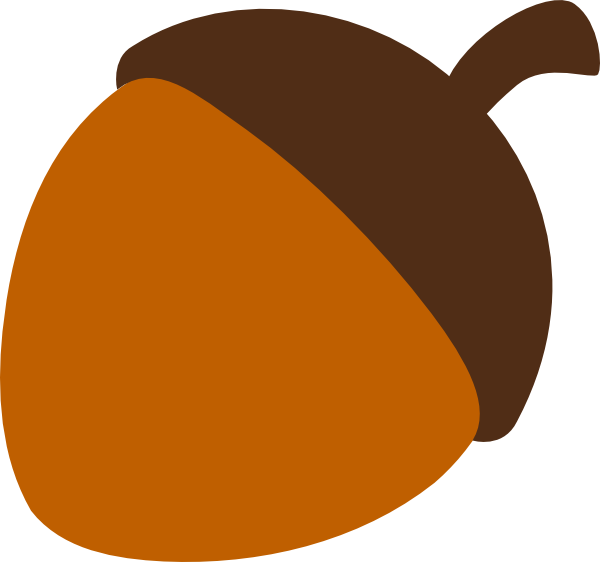 Stylized Acorn Illustration PNG image