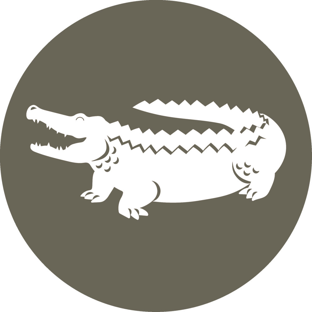 Stylized Alligator Graphic PNG image