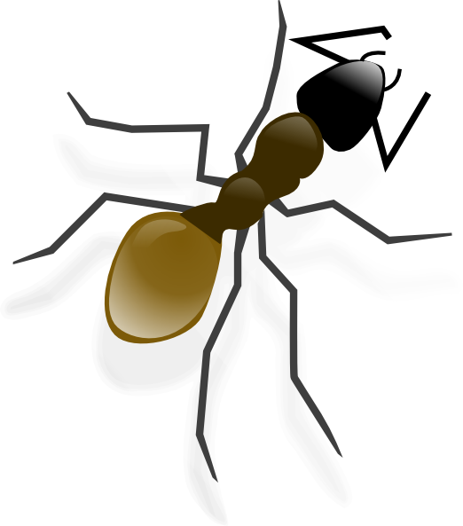 Stylized Ant Illustration PNG image