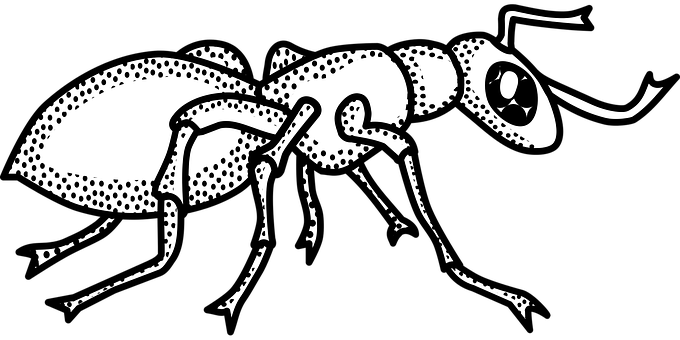 Stylized Ant Illustration PNG image