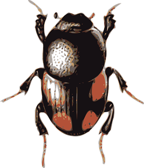 Stylized Beetle Artwork PNG image