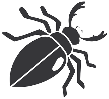 Stylized Beetle Graphic PNG image