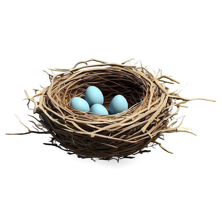 Stylized Bird Nest Png 05252024 PNG image