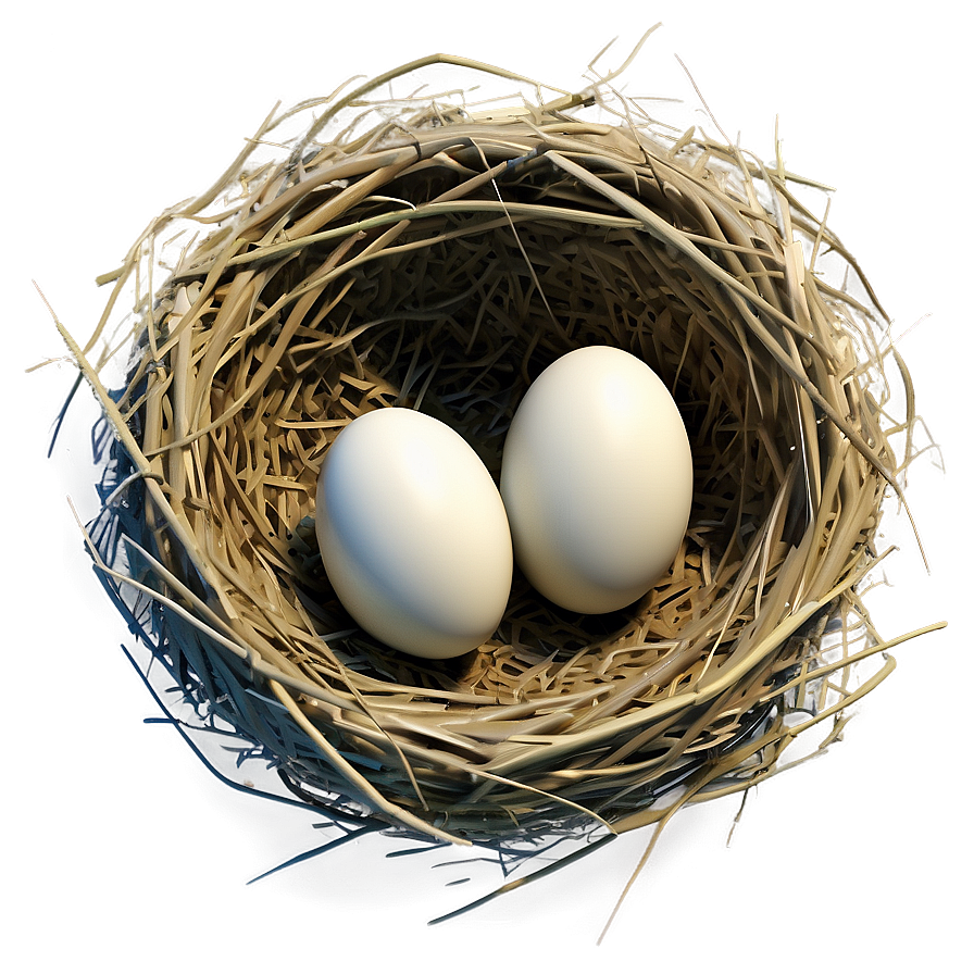 Stylized Bird Nest Png 93 PNG image