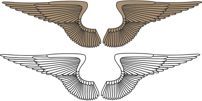 Stylized Bird Wings Graphic PNG image