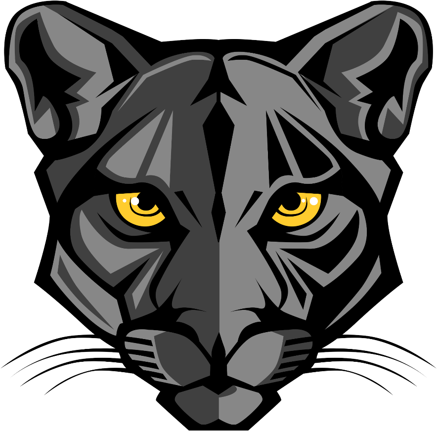 Stylized Black Panther Head Illustration PNG image