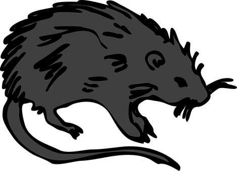 Stylized Black Rat Illustration PNG image