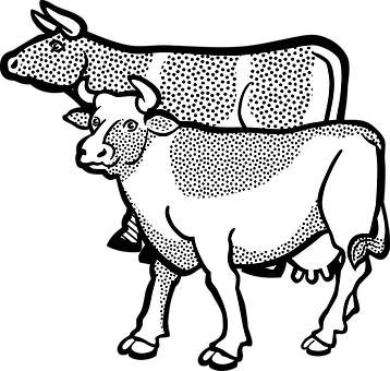 Stylized Blackand White Cows Illustration PNG image