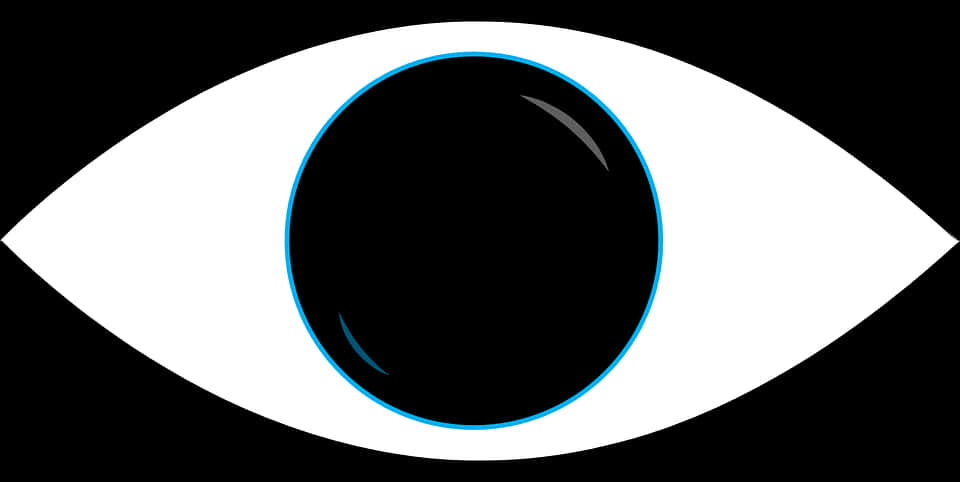 Stylized Blackand White Eye Graphic PNG image