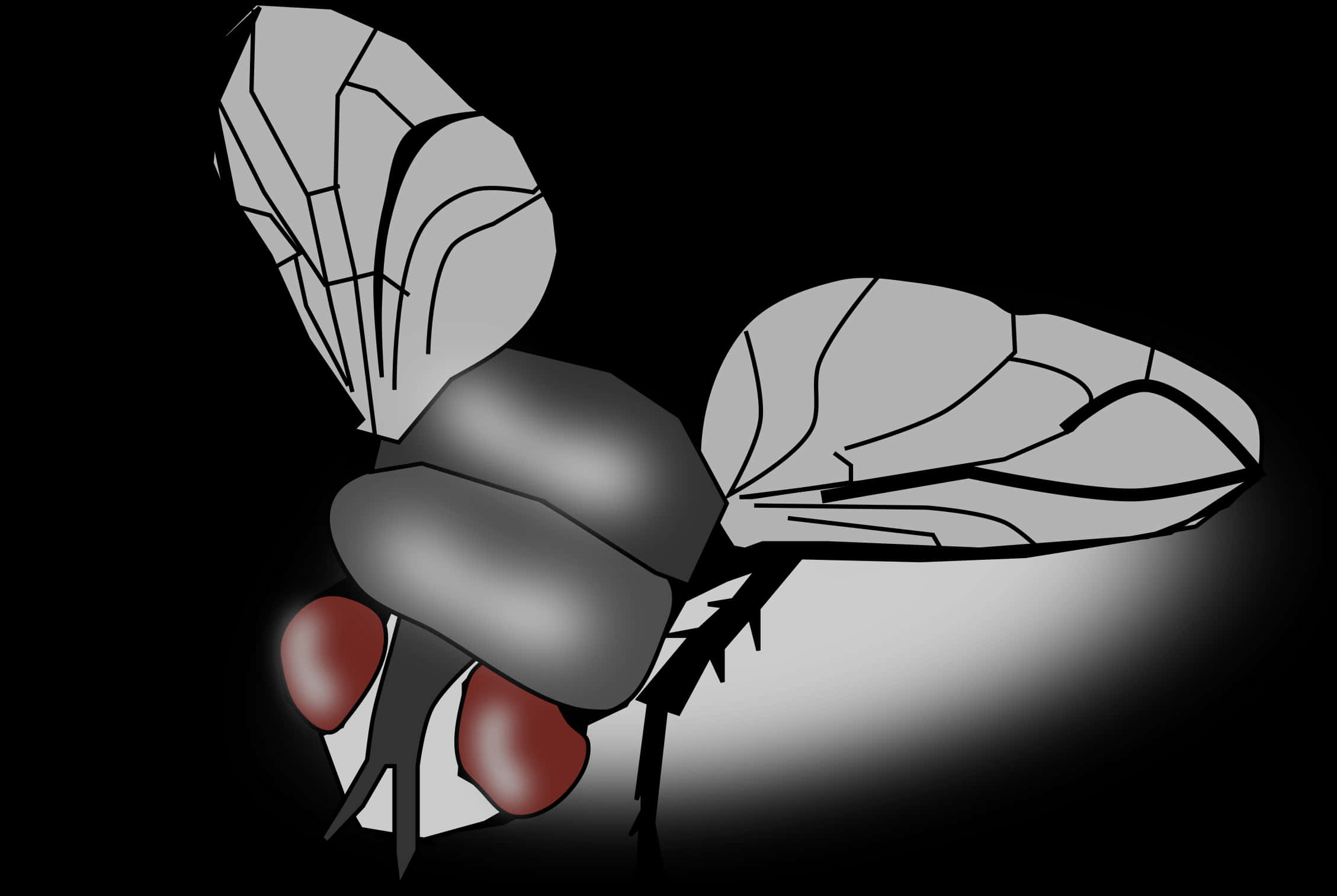 Stylized Blackand White Fly Illustration PNG image