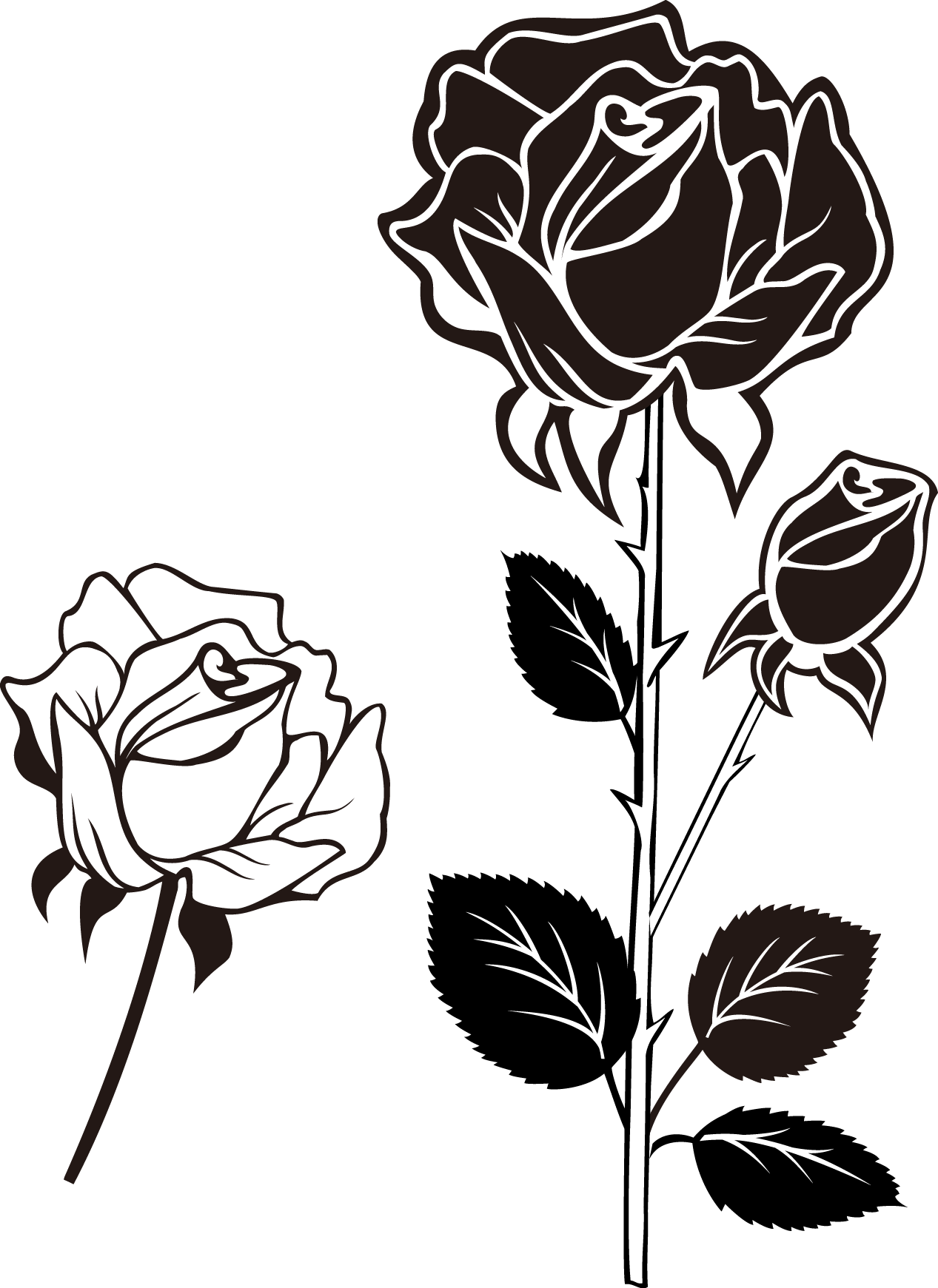 Stylized Blackand White Roses PNG image