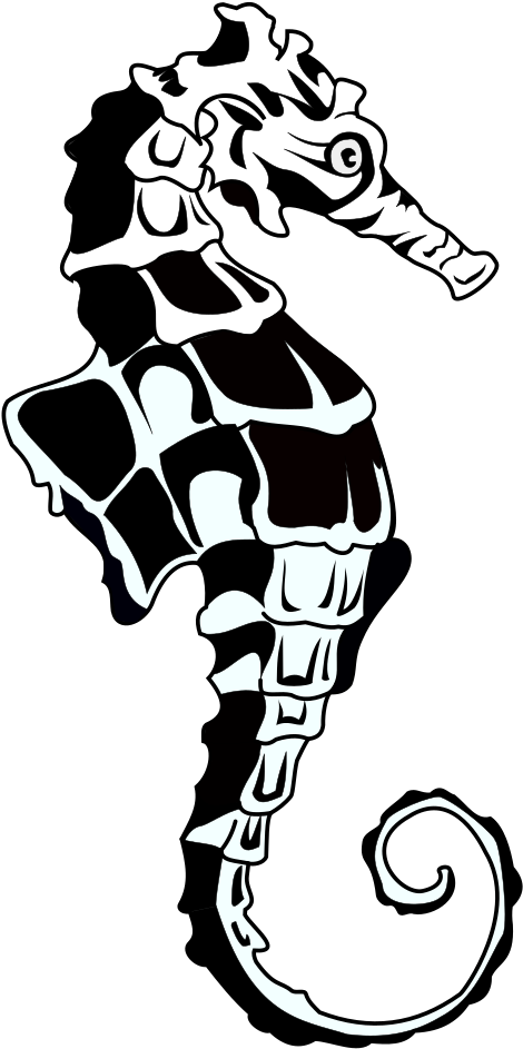 Stylized Blackand White Seahorse Illustration PNG image