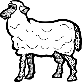 Stylized Blackand White Sheep Illustration PNG image