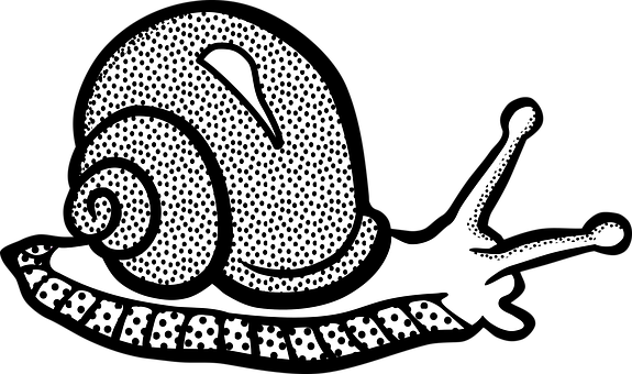 Stylized Blackand White Snail Illustration PNG image