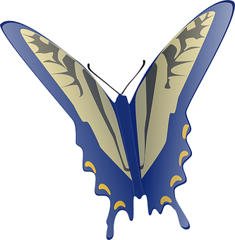 Stylized Blue Butterfly Graphic PNG image
