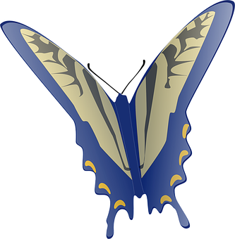 Stylized Blueand Gold Butterfly PNG image