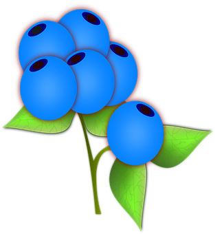 Stylized Blueberries Illustration PNG image