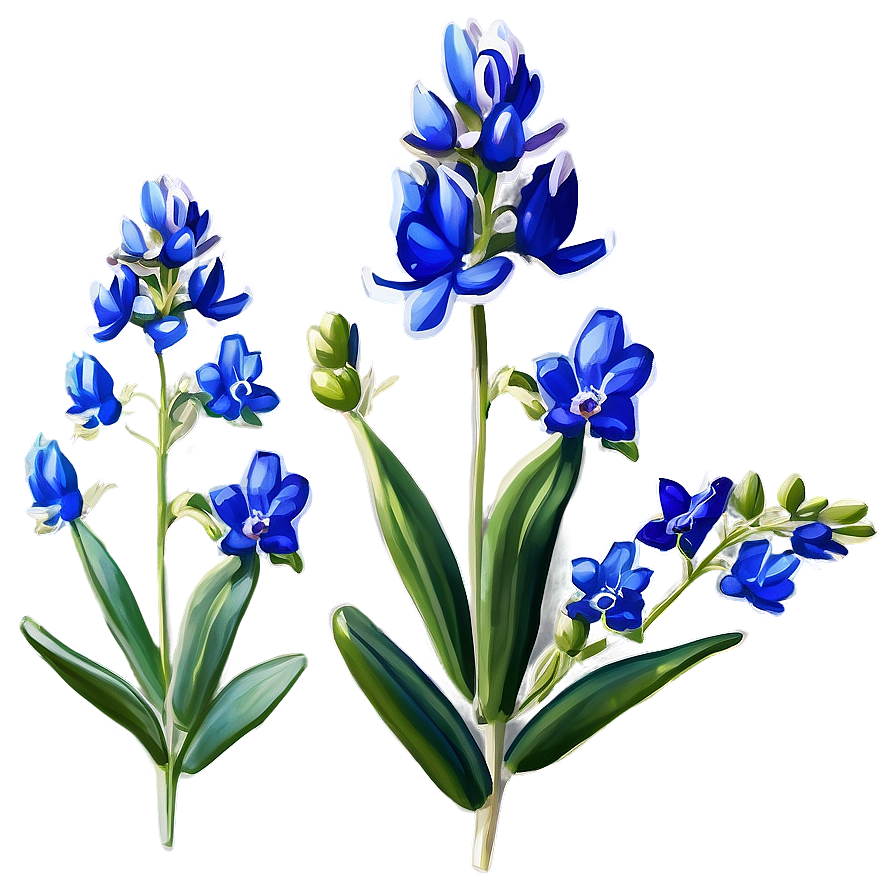 Stylized Bluebonnet Portrait Png Ibu63 PNG image