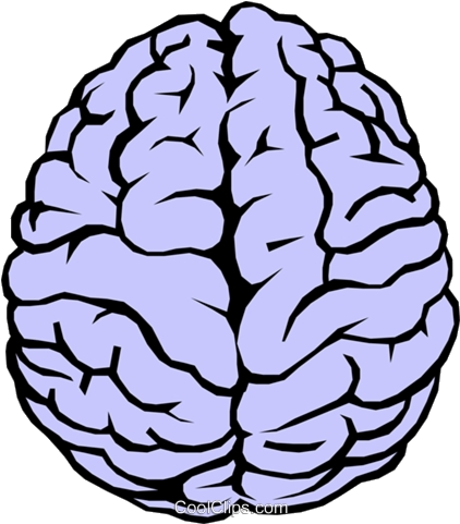 Stylized Brain Clipart PNG image