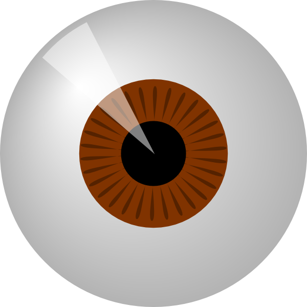 Stylized Brown Iris Eye Clipart PNG image