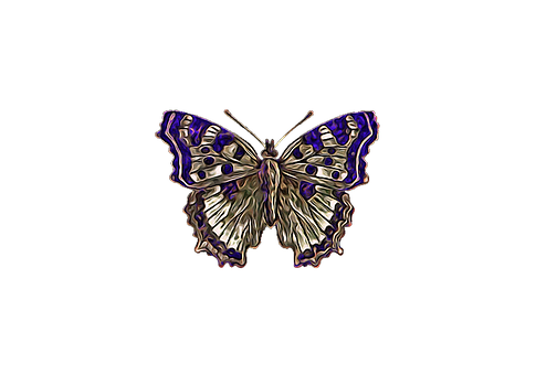 Stylized Butterfly Artwork PNG image