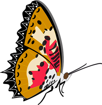 Stylized Butterfly Illustration PNG image