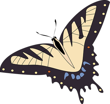 Stylized Butterfly Illustration PNG image