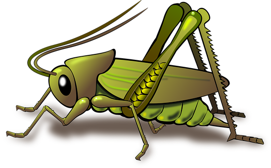 Stylized Cartoon Grasshopper PNG image