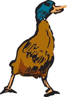 Stylized Cassowary Illustration PNG image