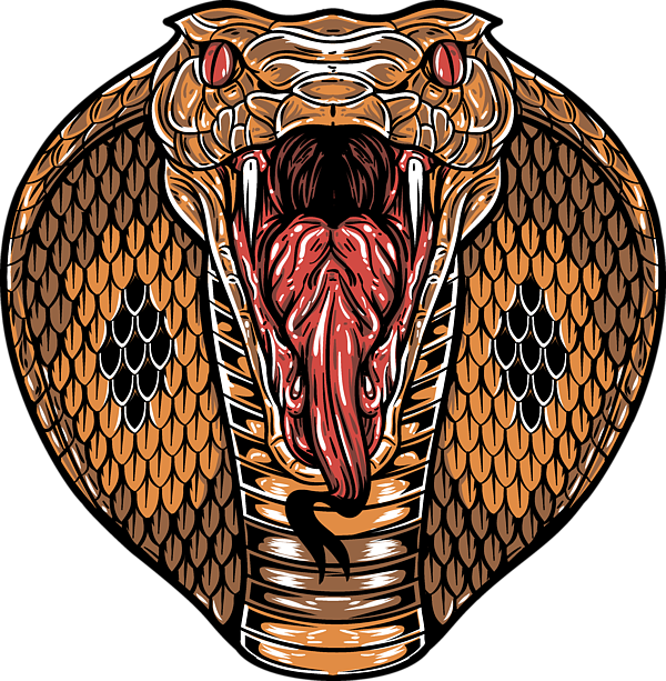 Stylized Cobra Artwork PNG image