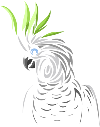 Stylized Cockatoo Illustration PNG image