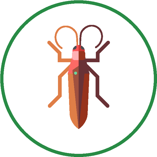 Stylized Cockroach Icon PNG image