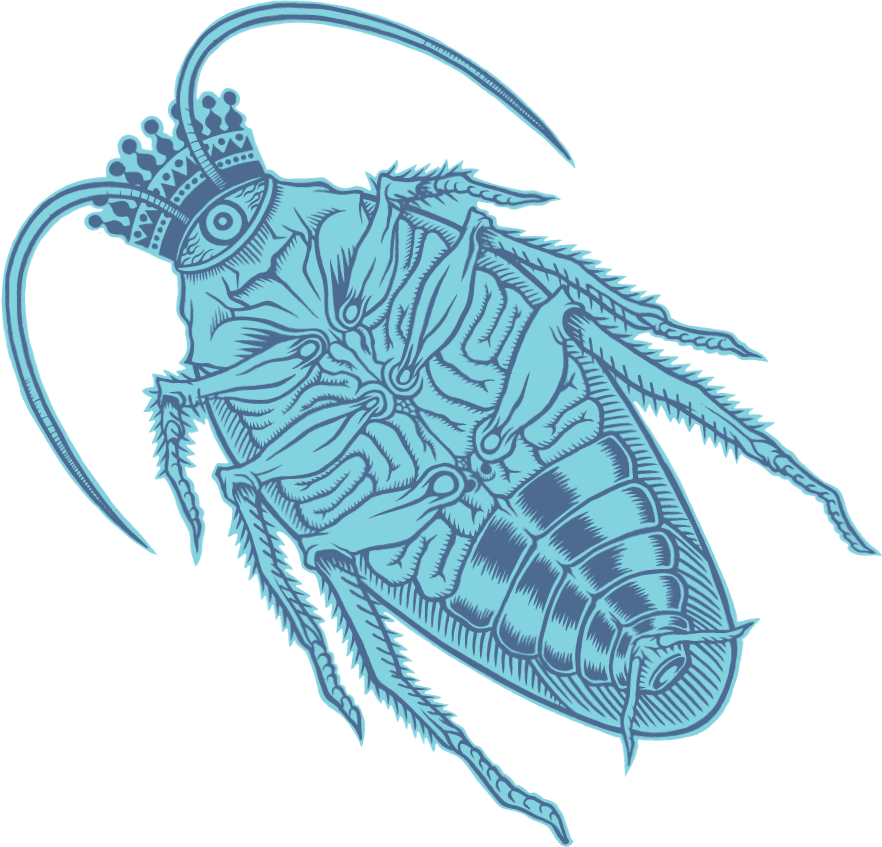 Stylized Cockroach Illustration PNG image