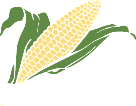 Stylized Corn Illustration PNG image