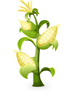 Stylized Corn Plant Illustration PNG image