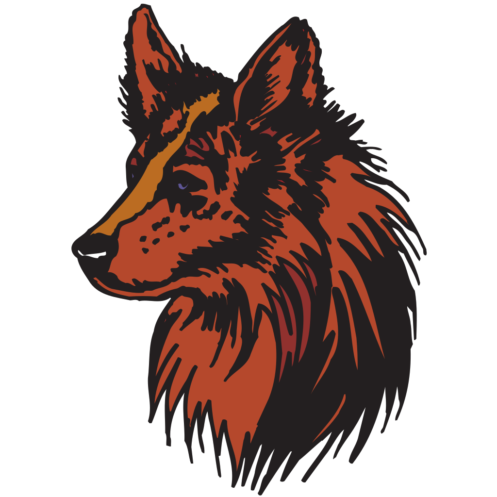 Stylized Coyote Portrait PNG image