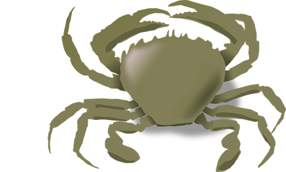 Stylized Crab Illustration PNG image