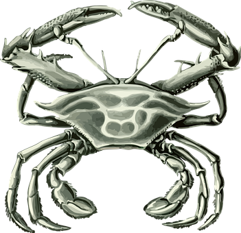 Stylized Crab Illustration PNG image