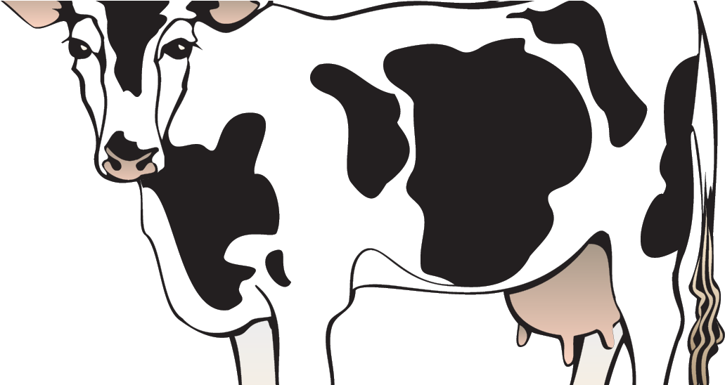 Stylized Dairy Cow Illustration PNG image