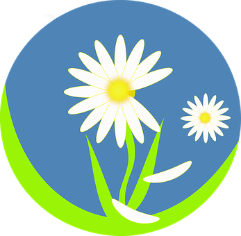 Stylized Daisy Graphic PNG image