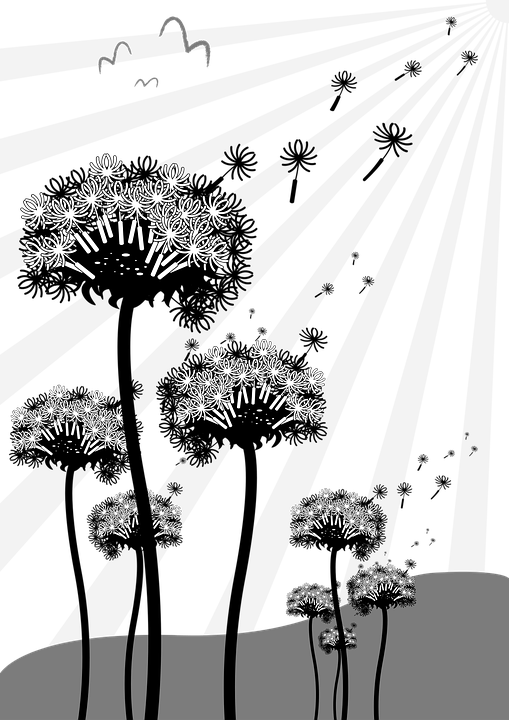 Stylized Dandelion Silhouettes PNG image