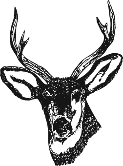 Stylized Deer Head Silhouette PNG image
