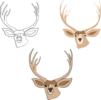 Stylized Deer Heads Triptych PNG image