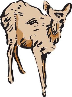 Stylized Deer Illustration PNG image