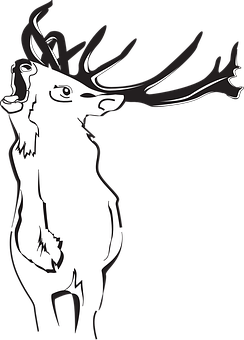 Stylized Deer Silhouette Art PNG image