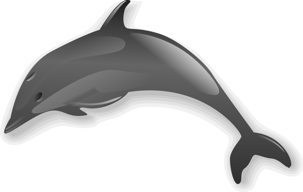 Stylized Dolphin Illustration PNG image