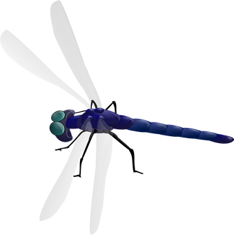 Stylized Dragonfly Illustration PNG image