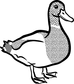 Stylized Duck Illustration Black White PNG image